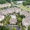 aerial view of large building