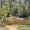people sitting by a pond
