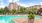 a swimming pool with lush landscaping